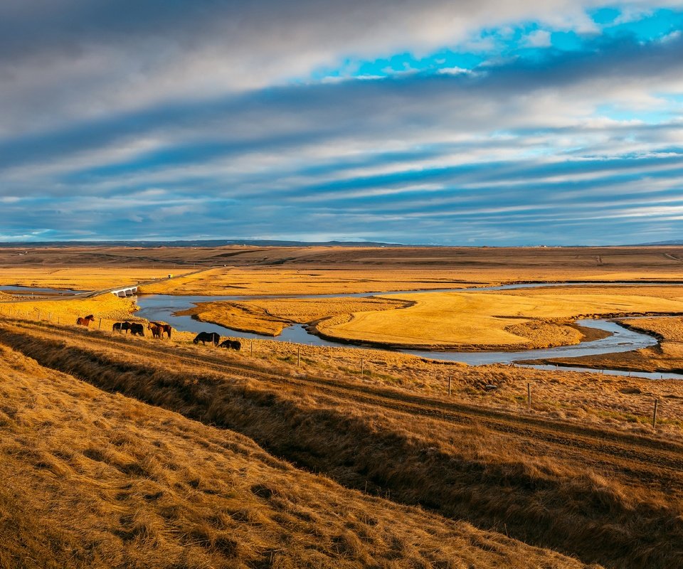 Обои небо, пасутся, трава, облака, река, лошади, кони, пастбище, степь, the sky, grazing, grass, clouds, river, horse, horses, pasture, the steppe разрешение 2688x1920 Загрузить