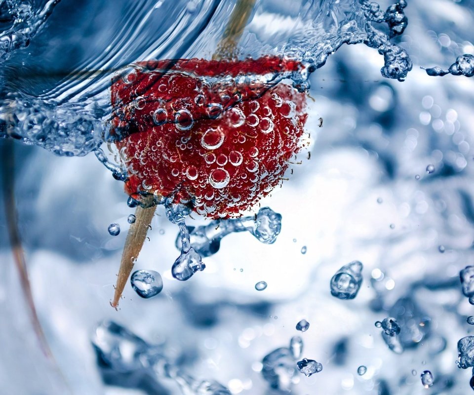 Обои вода, малина, капли, ягода, пузыри, в воде, water, raspberry, drops, berry, bubbles, in the water разрешение 2880x1800 Загрузить