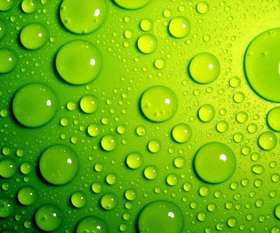 Обои зелёный, фон, капли, цвет, капли воды, green, background, drops, color, water drops разрешение 1920x1200 Загрузить