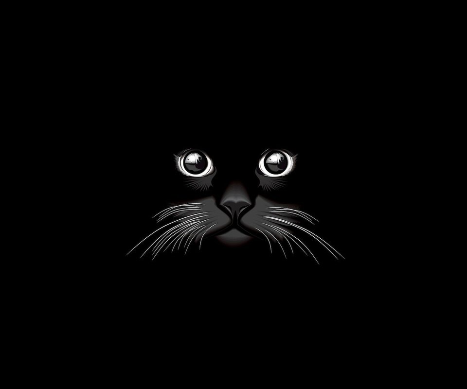 Обои вектор, кот, черный, графика, черный фон, vector, cat, black, graphics, black background разрешение 1920x1080 Загрузить