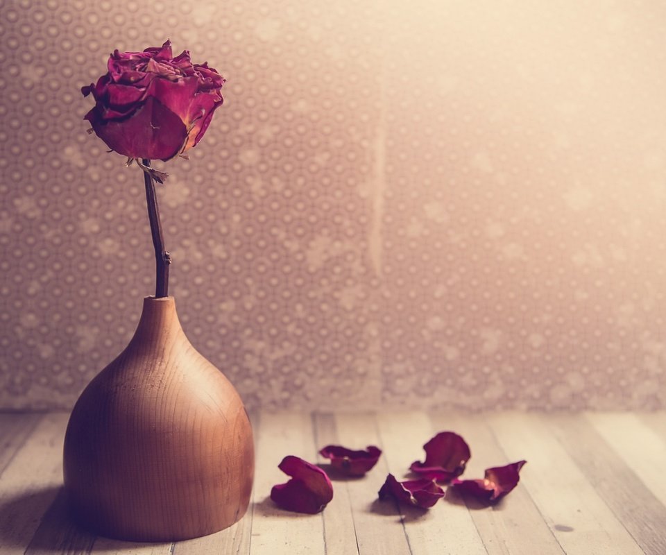 Обои обои, цветок, роза, лепестки, ваза, wallpaper, flower, rose, petals, vase разрешение 1920x1280 Загрузить