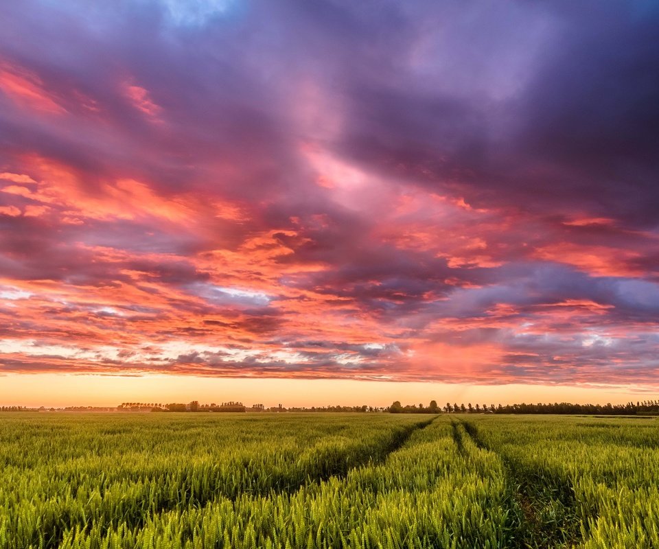 Обои небо, облака, закат, поле, нидерланды, колея, the sky, clouds, sunset, field, netherlands, track разрешение 2048x1486 Загрузить