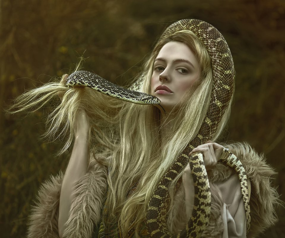 Обои девушка, фэнтези, змея, волосы, персонаж, фотосессия, agnieszka lorek, girl, fantasy, snake, hair, character, photoshoot разрешение 2048x1618 Загрузить