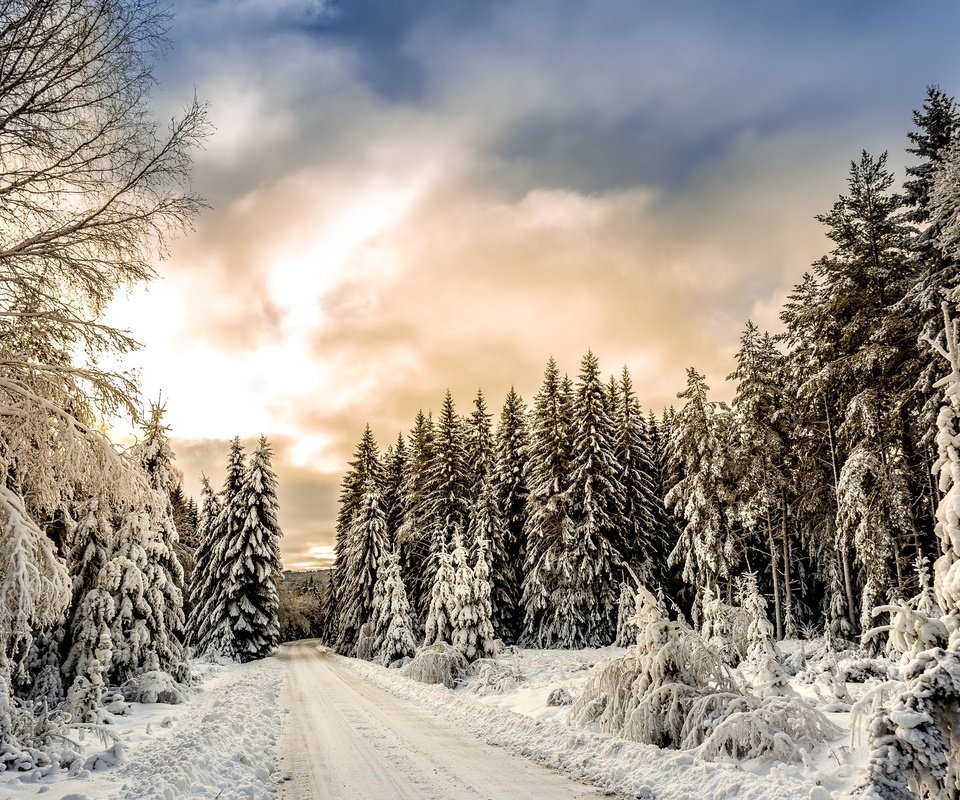 Обои облака, деревья, снег, лес, зима, clouds, trees, snow, forest, winter разрешение 3000x2250 Загрузить