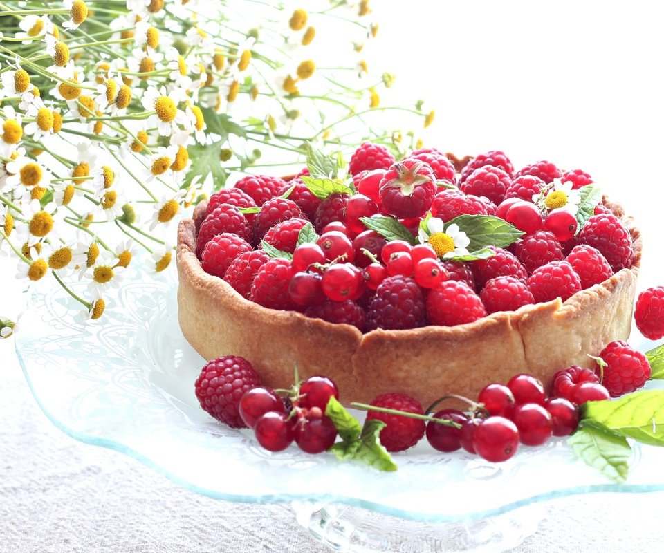 Обои цветы, малина, лето, ромашки, ягоды, пирог, ежевика, смородина, flowers, raspberry, summer, chamomile, berries, pie, blackberry, currants разрешение 2100x1345 Загрузить