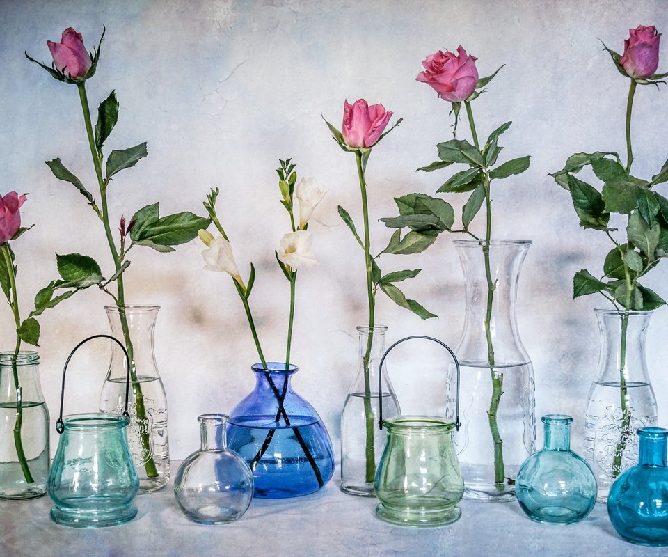 Обои цветы, розы, стекло, бутылки, натюрморт, банки, вазы, flowers, roses, glass, bottle, still life, banks, vases разрешение 2560x1761 Загрузить