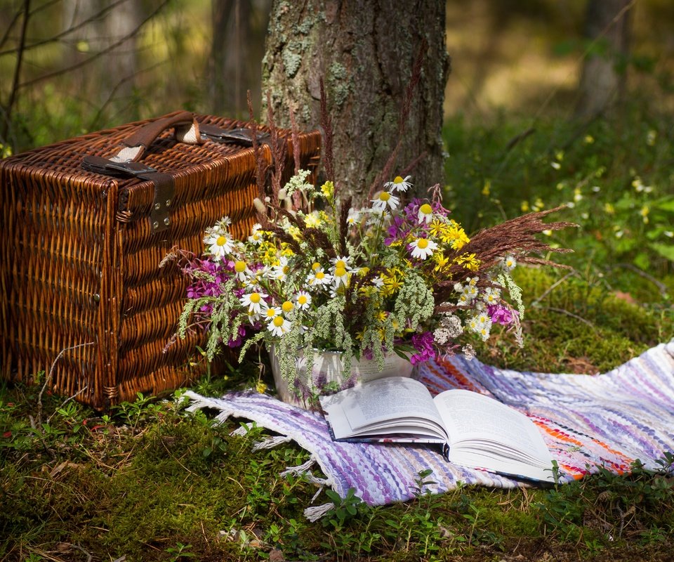 Обои цветы, коврик, трава, природа, букет, корзина, полевые цветы, книга, пикник, flowers, mat, grass, nature, bouquet, basket, wildflowers, book, picnic разрешение 5184x3456 Загрузить