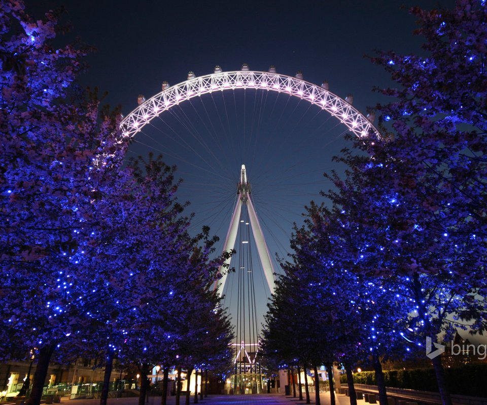 Обои лондон, колесо обозрения, англия, глаз, лондонский глаз, london, ferris wheel, england, eyes, the london eye разрешение 1920x1200 Загрузить