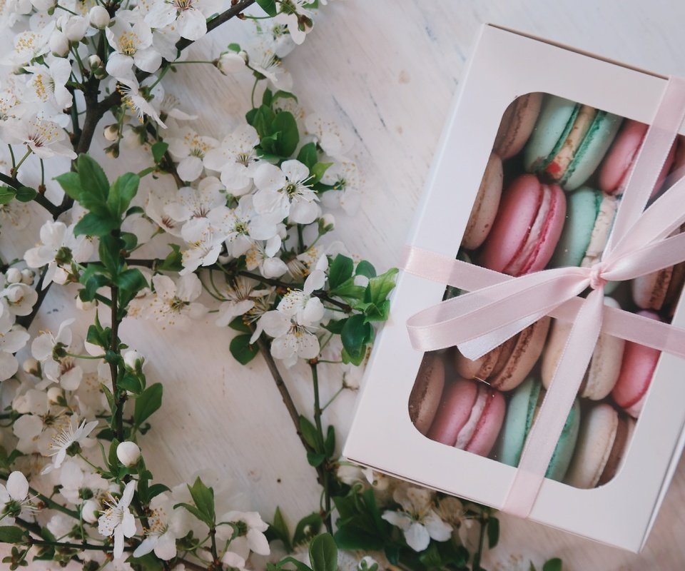 Обои цветы, подарок, коробка, макаруны, flowers, gift, box, macaroon разрешение 5472x3648 Загрузить