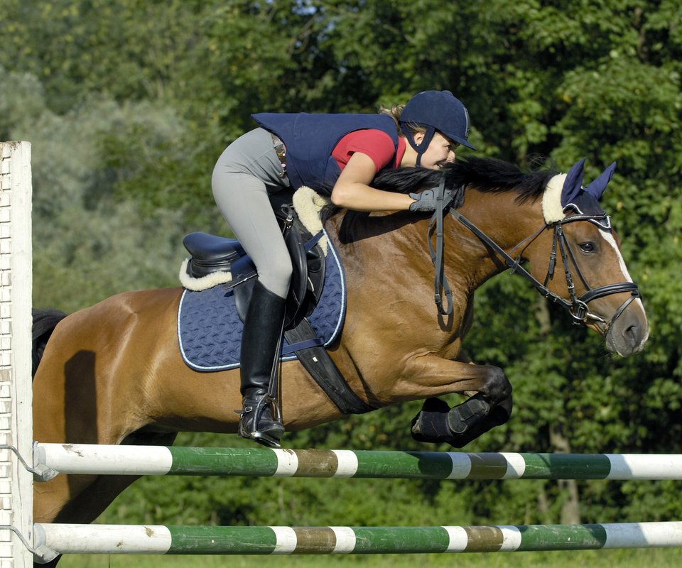 Обои лошадь, девушка, прыжок, спорт, униформа, конь, барьер, horse, girl, jump, sport, uniform, barrier разрешение 2700x1800 Загрузить