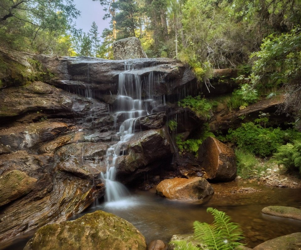 Обои вода, природа, камни, растения, водопад, water, nature, stones, plants, waterfall разрешение 2048x1536 Загрузить