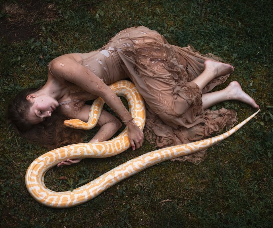 Обои девушка, платье, модель, змея, рептилия, закрытые глаза, aleah michele, girl, dress, model, snake, reptile, closed eyes разрешение 2048x1365 Загрузить