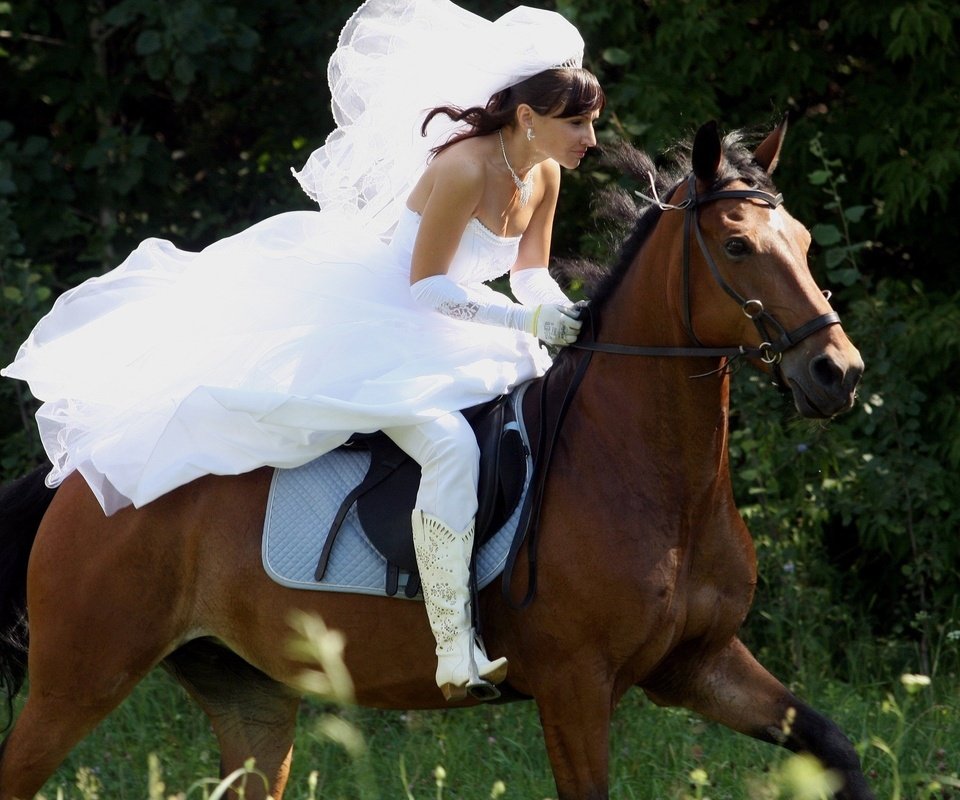 Обои лошадь, девушка, платье, скачет, фата, бежит, езда, horse, girl, dress, jump, veil, runs, riding разрешение 2560x1600 Загрузить