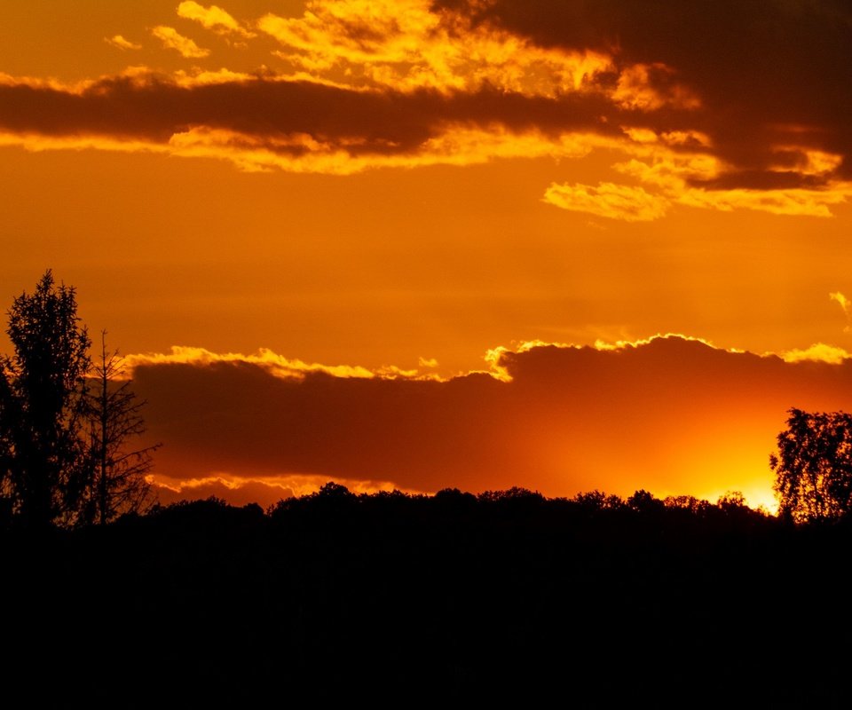 Обои небо, деревья, солнце, закат, силуэт, the sky, trees, the sun, sunset, silhouette разрешение 3840x2160 Загрузить