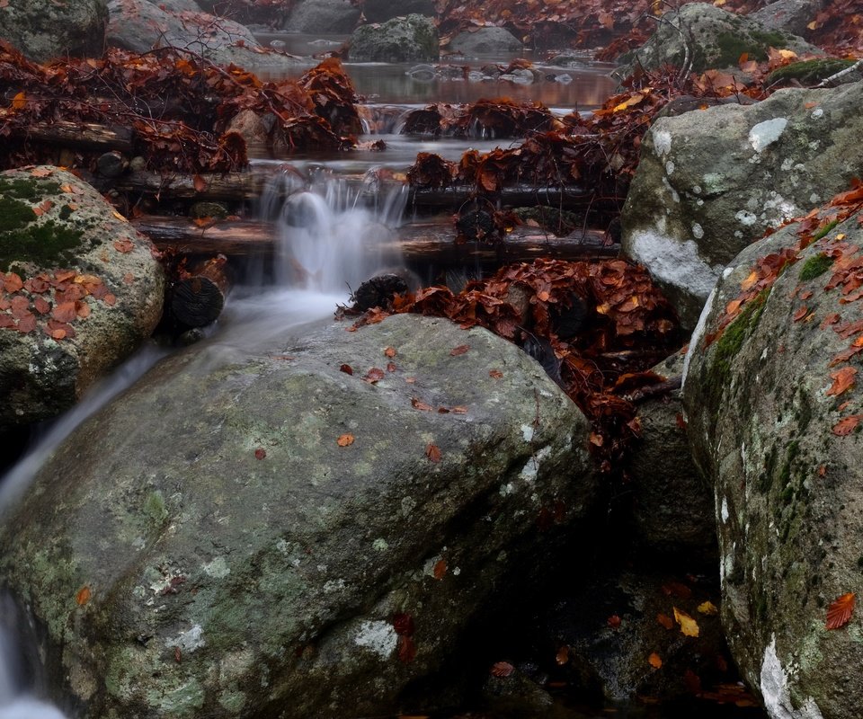 Обои река, природа, камни, водопад, осень, поток, каскад, river, nature, stones, waterfall, autumn, stream, cascade разрешение 3840x2160 Загрузить