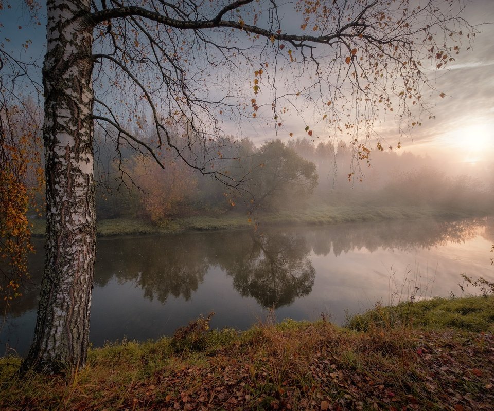 Обои осень, река, береза, солнце, природа, дерево, лучи, пейзаж, утро, туман, autumn, river, birch, the sun, nature, tree, rays, landscape, morning, fog разрешение 1920x1280 Загрузить