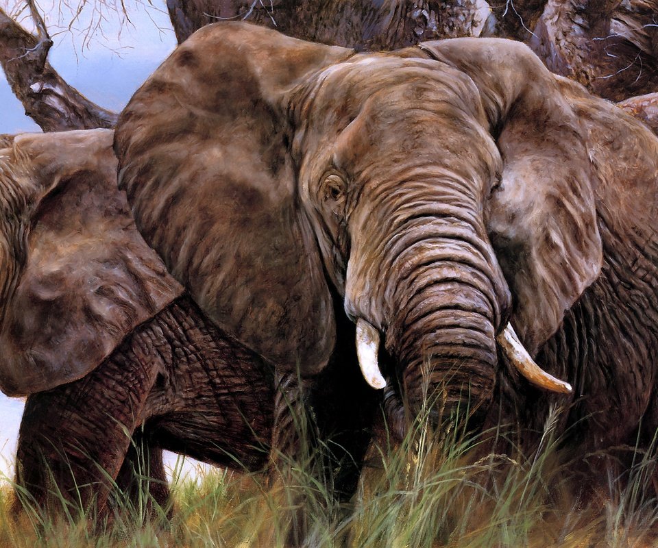 Обои арт, слон, уши, слоны, бивни, art, elephant, ears, elephants, tusks разрешение 4731x2075 Загрузить