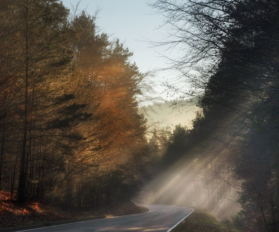 Обои свет, дорога, утро, light, road, morning разрешение 2048x1289 Загрузить