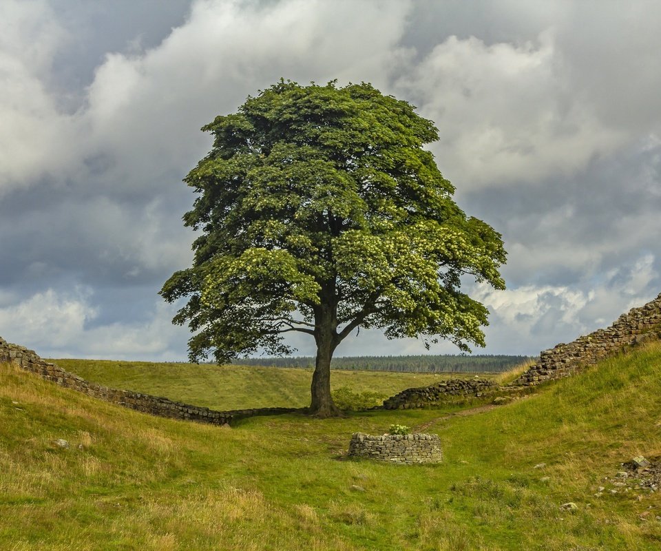 Обои холмы, англия, колодец, hills, england, well разрешение 3072x2048 Загрузить