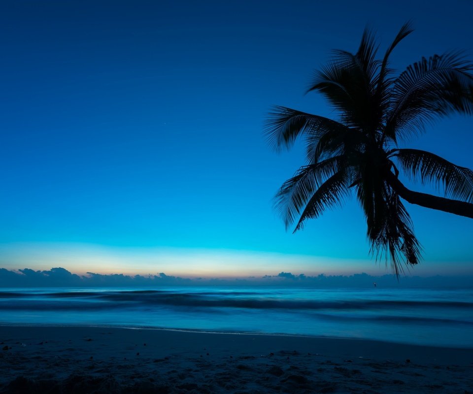 Обои вечер, море, пальма, the evening, sea, palma разрешение 3139x2095 Загрузить