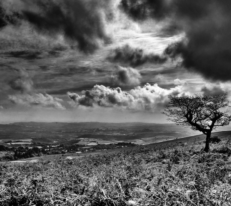 Обои облака, дерево, черно-белая, clouds, tree, black and white разрешение 1920x1440 Загрузить