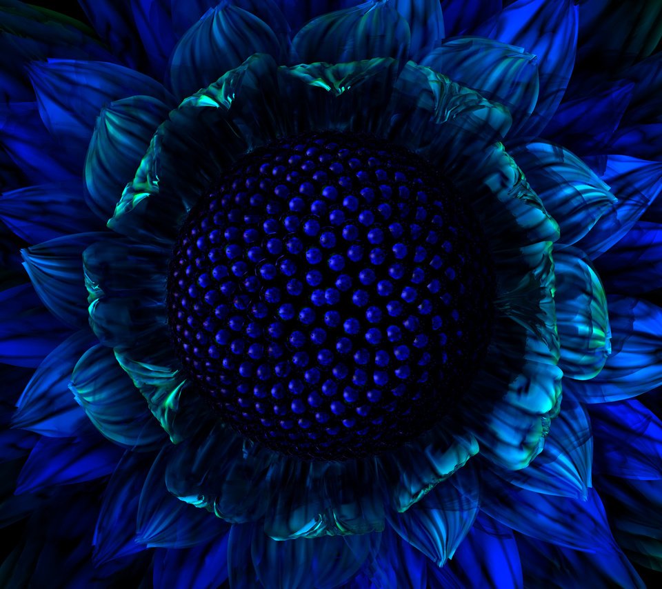 Обои синий, цветок, графика, blue, flower, graphics разрешение 2560x1600 Загрузить