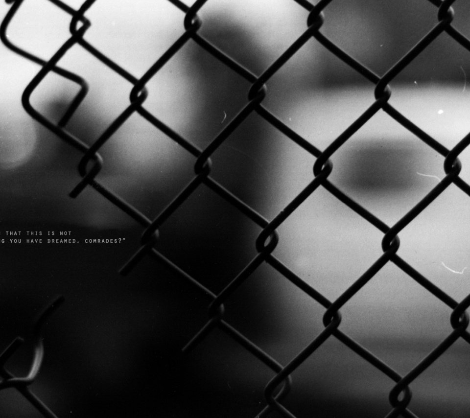 Обои проволока, слова, забор, чёрно-белое, выражение, wire, words, the fence, black and white, the expression разрешение 1920x1080 Загрузить