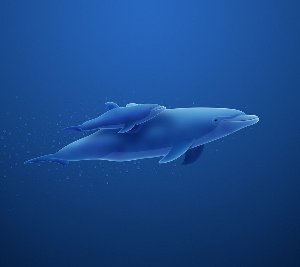 Обои синий, пузыри, дельфин, blue, bubbles, dolphin разрешение 2560x1600 Загрузить