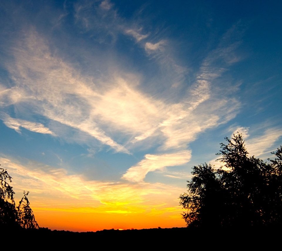 Обои небо, облака, деревья, закат, the sky, clouds, trees, sunset разрешение 1920x1080 Загрузить