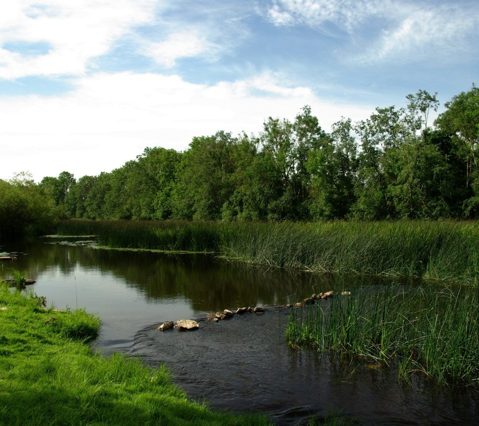 Обои река, луг, перекат, river, meadow, roll разрешение 3000x2000 Загрузить