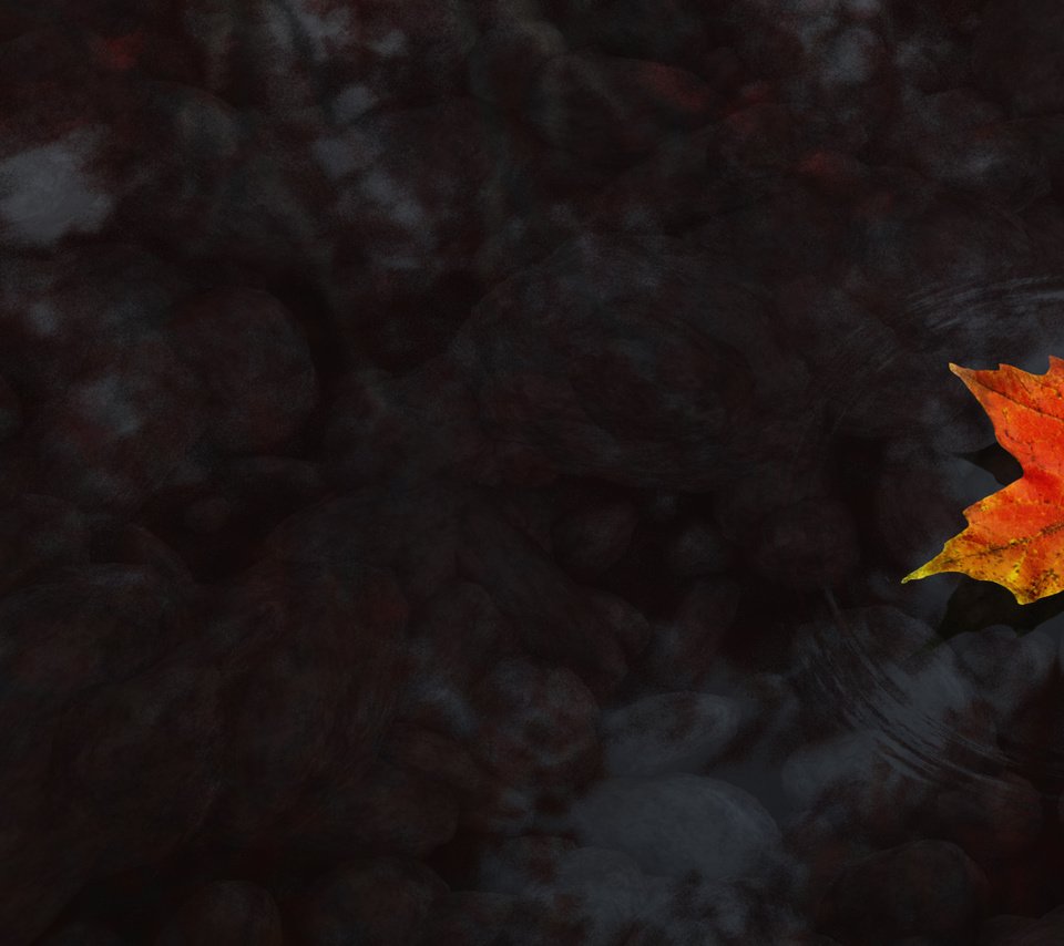 Обои вода, осень, клен, кленовый лист, water, autumn, maple, maple leaf разрешение 3840x1200 Загрузить