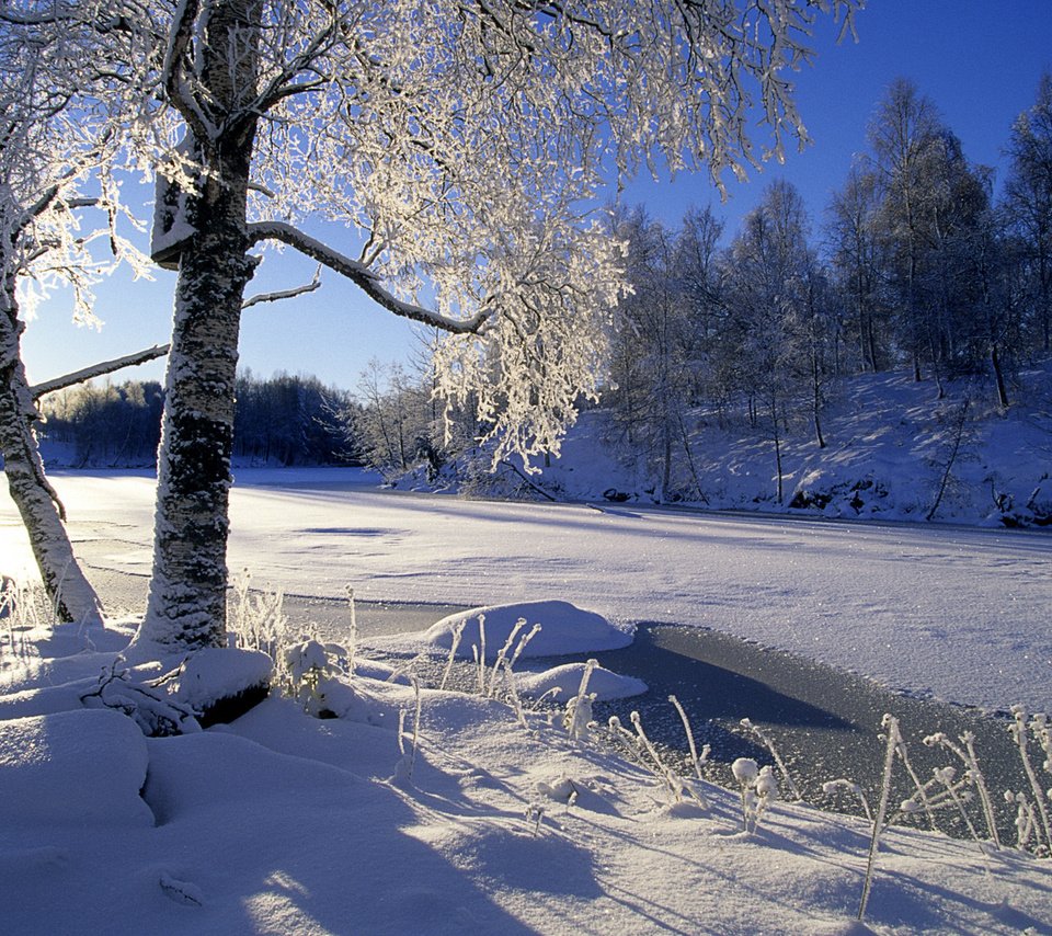 Обои деревья, река, снег, лес, зима, trees, river, snow, forest, winter разрешение 1920x1200 Загрузить