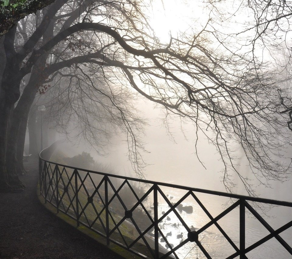 Обои деревья, река, парк, туман, рассвет, забор, trees, river, park, fog, dawn, the fence разрешение 1920x1080 Загрузить