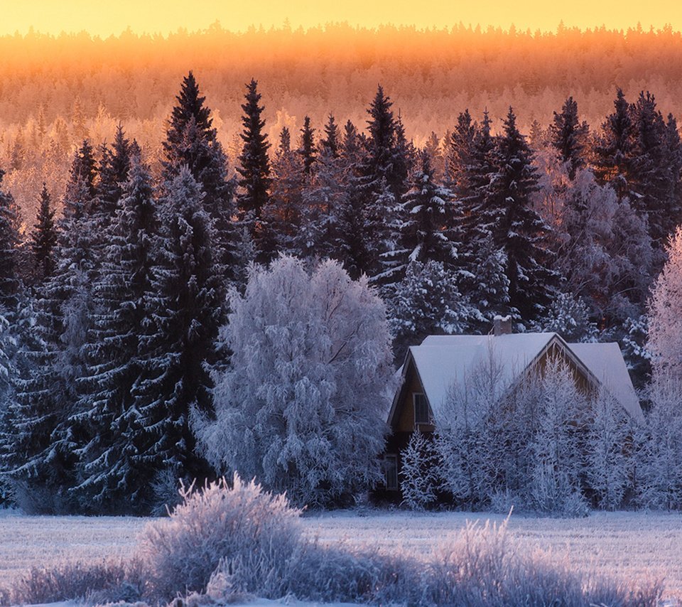 Обои природа, лес, зима, дом, nature, forest, winter, house разрешение 1920x1200 Загрузить