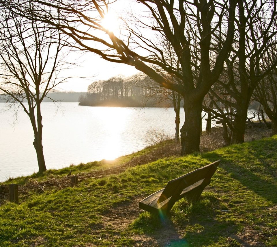 Обои деревья, озеро, берег, парк, скамейка, trees, lake, shore, park, bench разрешение 2048x1280 Загрузить