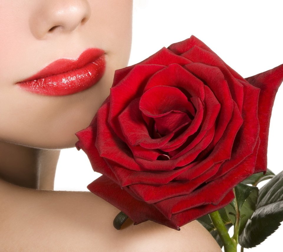 Обои бархатная, девушка, цветок, роза, красная, модель, губы, лицо, красная помада, velvet, girl, flower, rose, red, model, lips, face, red lipstick разрешение 1920x1200 Загрузить