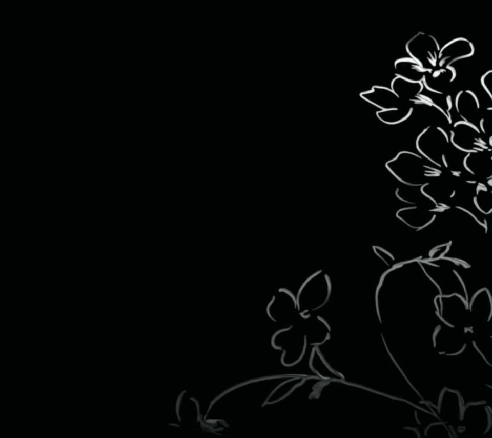 Обои цветы, черный фон, цветочки, рисуночек, flowers, black background, reconocer разрешение 1920x1200 Загрузить