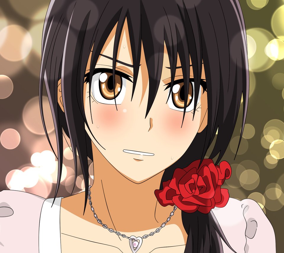 Обои девушка, аниме, prezident studsoveta gornichnaya, misaki ayuzawa, kaichou wa maid-sama, girl, anime разрешение 2560x1600 Загрузить