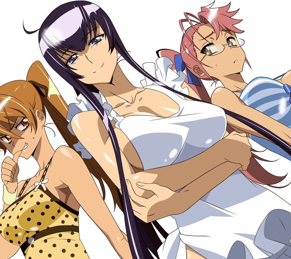 Обои девушка, highschool of the dead, tri, дощечка, fartuk, girl, plate разрешение 6434x4270 Загрузить