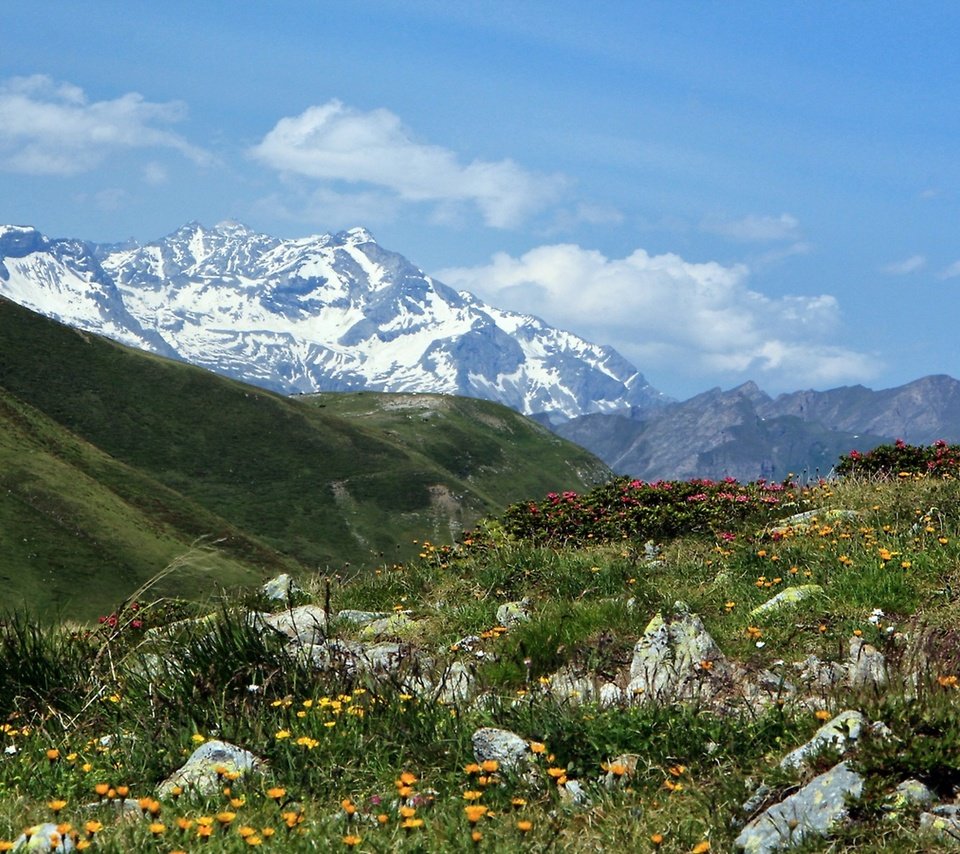 Обои италия, перевал пенсер-йох, italy, pass spencer-joch разрешение 2560x1440 Загрузить