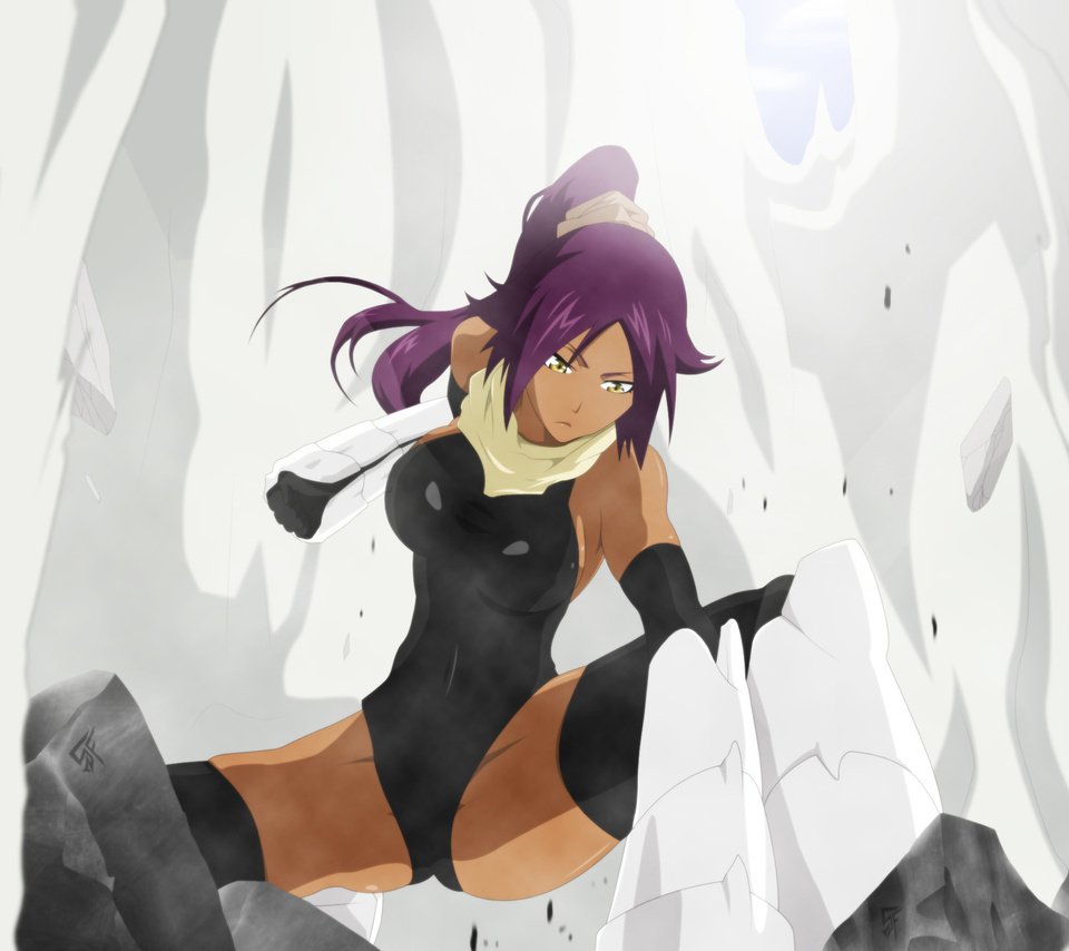 Обои арт, девушка, блич, shihouin yoruichi, stikyfinkaz-003, art, girl, bleach разрешение 1920x1200 Загрузить