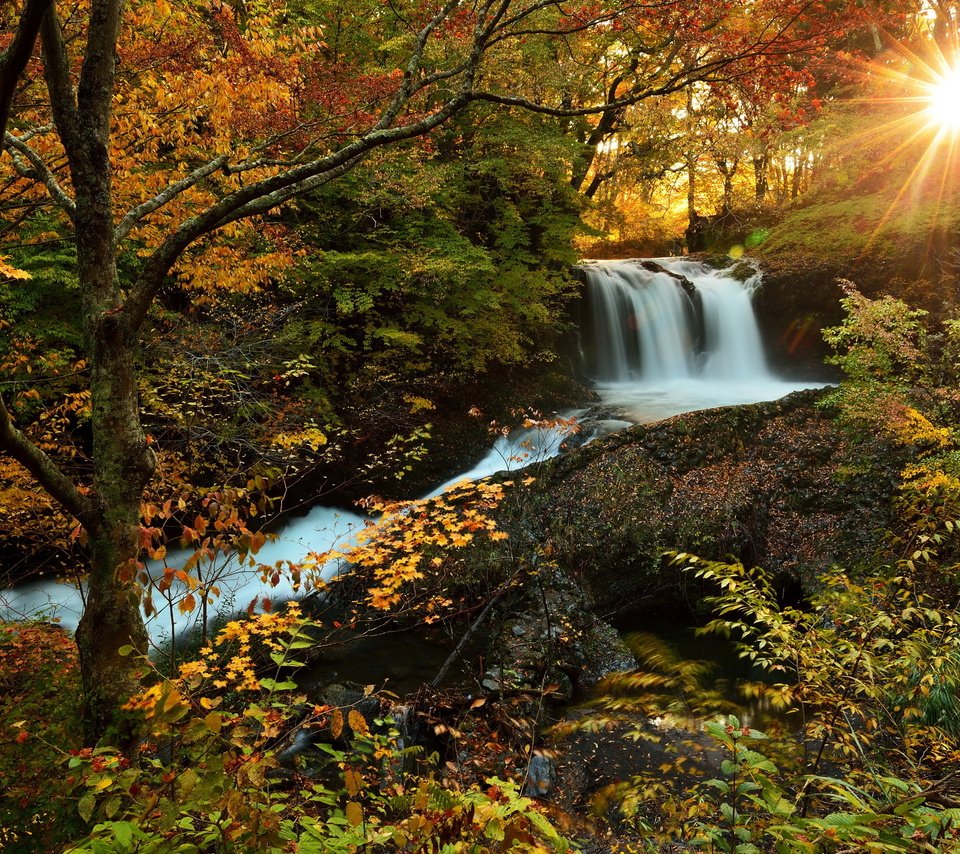 Обои солнце, лес, водопад, осень, природа., the sun, forest, waterfall, autumn, nature. разрешение 3000x1997 Загрузить