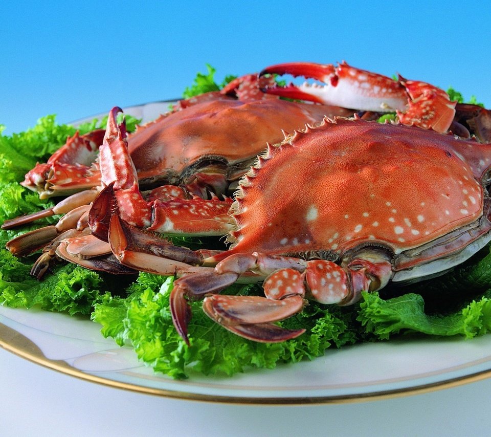 Обои зелень, крабы, тарелка, краб, морепродукты, листья салата, greens, crabs, plate, crab, seafood, lettuce разрешение 1920x1393 Загрузить