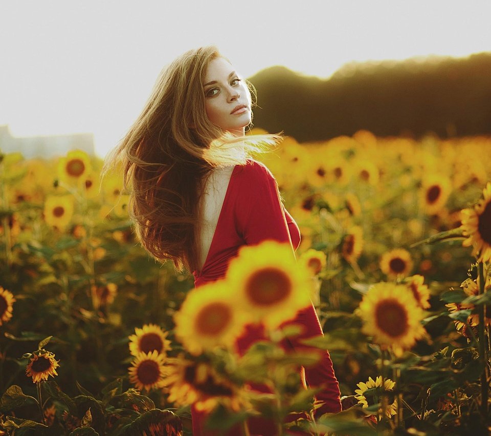 Обои девушка, лето, взгляд, подсолнухи, красное платье, girl, summer, look, sunflowers, red dress разрешение 2048x1365 Загрузить