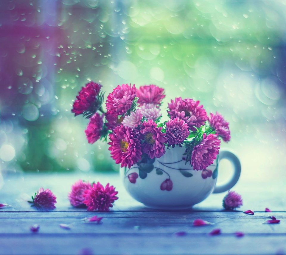 Обои цветы, капли, дождь, кружка, окно, астры, flowers, drops, rain, mug, window, asters разрешение 2048x1587 Загрузить