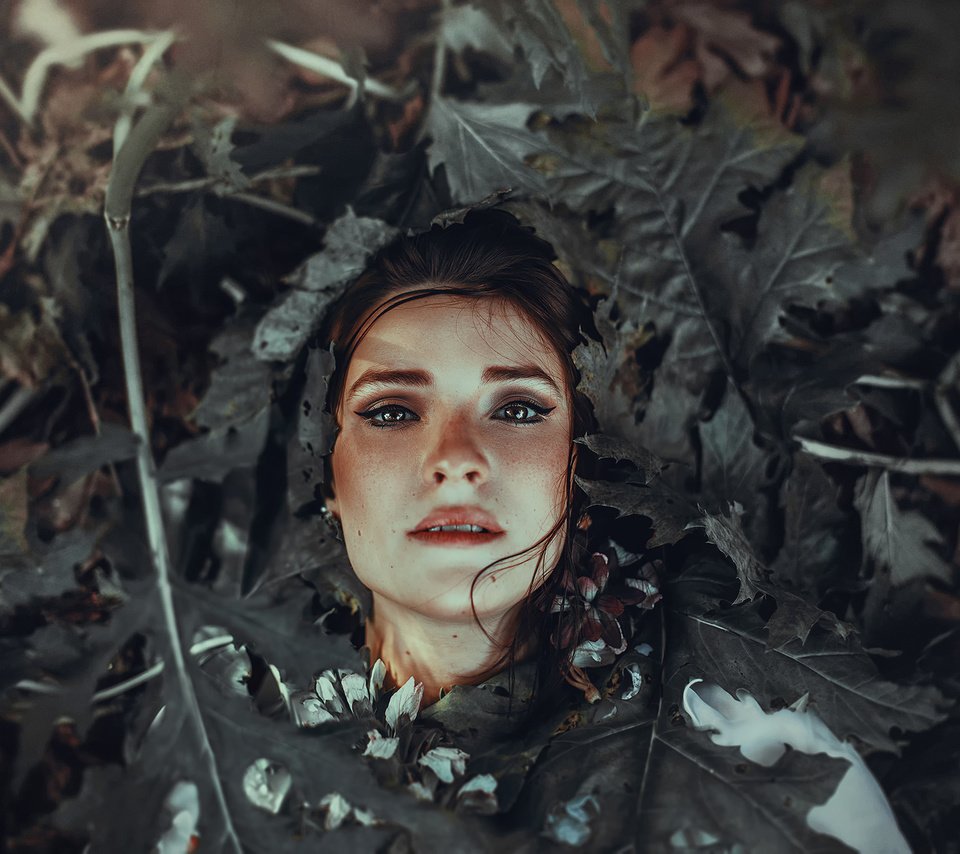 Обои листья, портрет, лицо, ronny garcia, rotten leaves, leaves, portrait, face разрешение 2048x1366 Загрузить