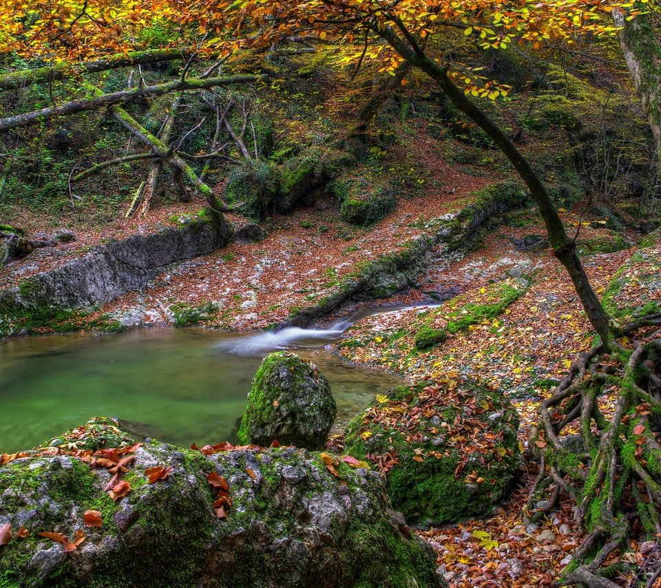 Обои вода, камни, листва, осень, опадают, осен,  листья, water, stones, foliage, autumn, fall, leaves разрешение 4287x2847 Загрузить