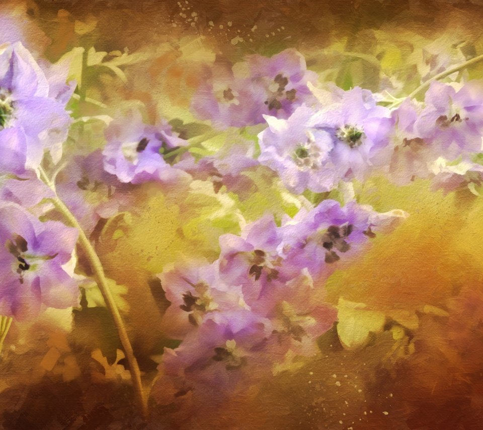 Обои цветы, сиреневый, дельфиниум, flowers, lilac, delphinium разрешение 4000x2148 Загрузить