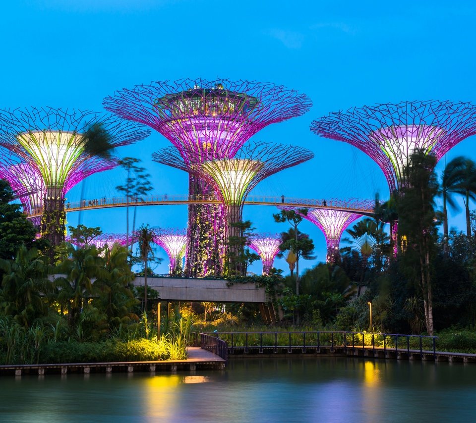 Обои деревья, сингапур, вечер, gardens by the bay, дизайн, парк, иллюминация, пальмы, пруд, строение, trees, singapore, the evening, design, park, illumination, palm trees, pond, structure разрешение 2880x1920 Загрузить