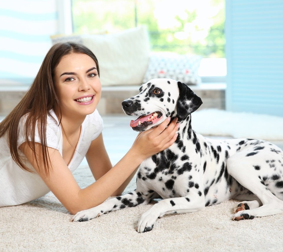 Обои девушка, улыбка, собака, далматин, cобака, dog-dalmatian-sobaka-dalmatin.jpg далматин, girl, smile, dog, dalmatian, dog-dalmatian-sobaka-dalmatin.jpg dalmatian разрешение 5648x3840 Загрузить